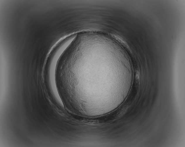 X0000086010676200704131828