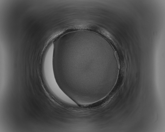 X0000086010677200704131828