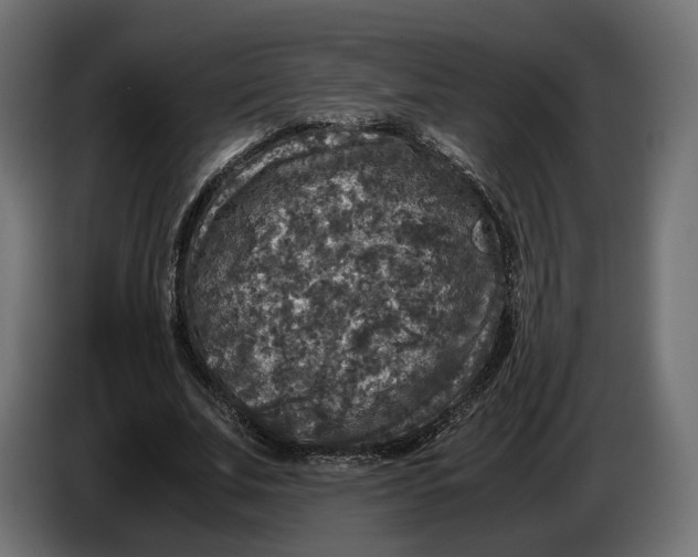 X0000086010679200704131828