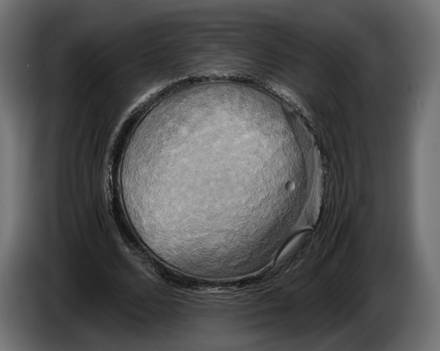X0000086010680200704131828