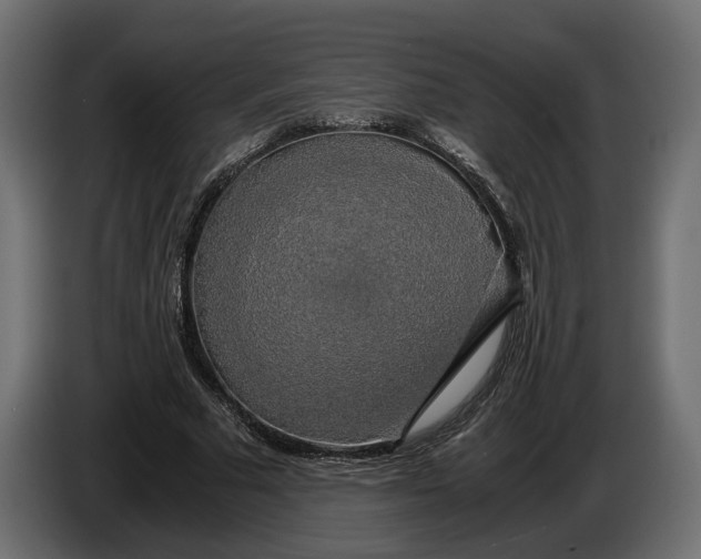 X0000086010681200704131828