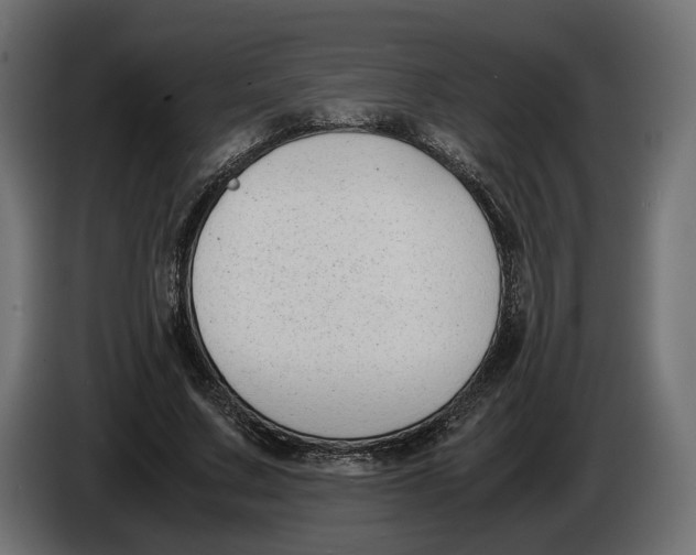 X0000086010683200704131828