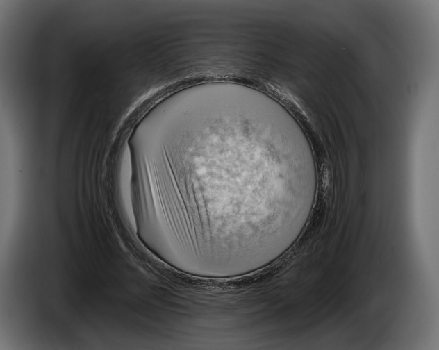 X0000086010684200704131828
