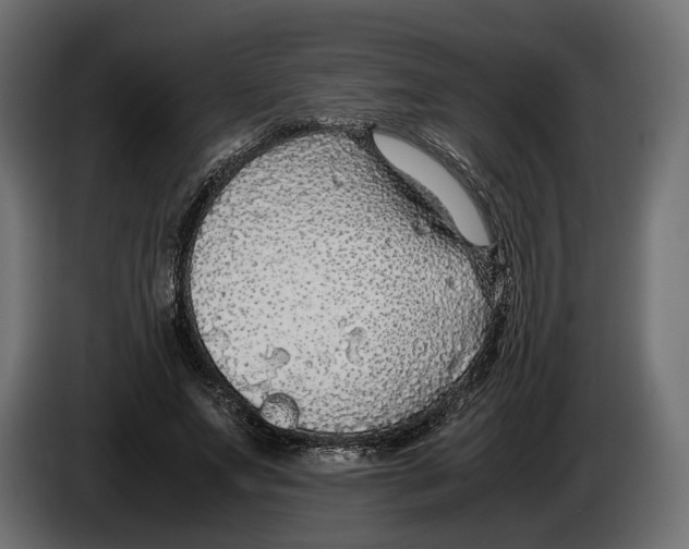X0000086010687200704131828