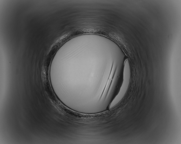X0000086010688200704131828