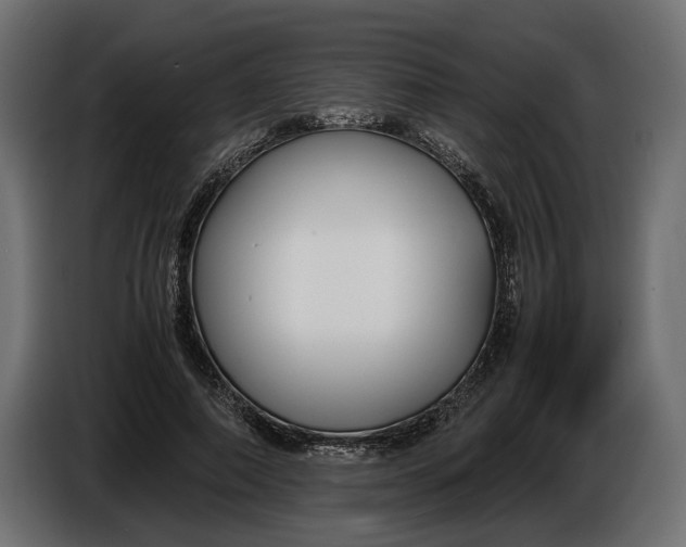 X0000086010690200704131828