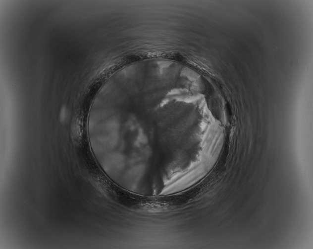 X0000086010691200704131828