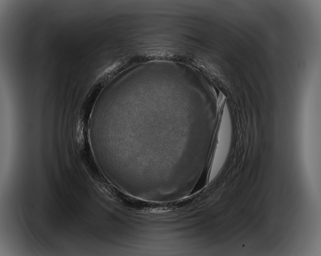 X0000086010692200704131828