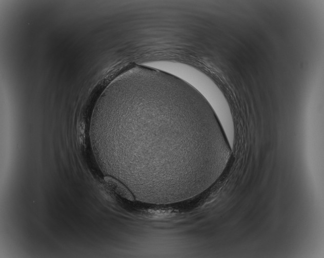 X0000086010693200704131828