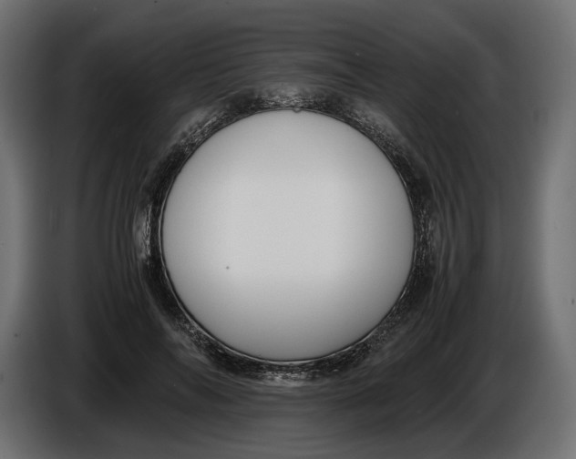X0000086010694200704131828