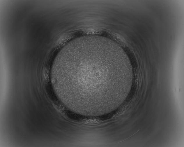 X0000086010695200704131828