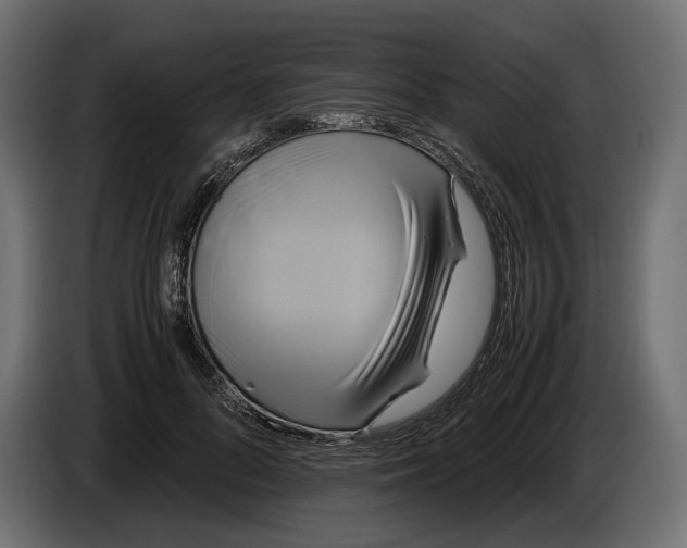 X0000086010696200704131828