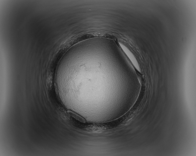 X0000086010697200704131828