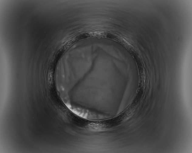 X0000086010699200704131828