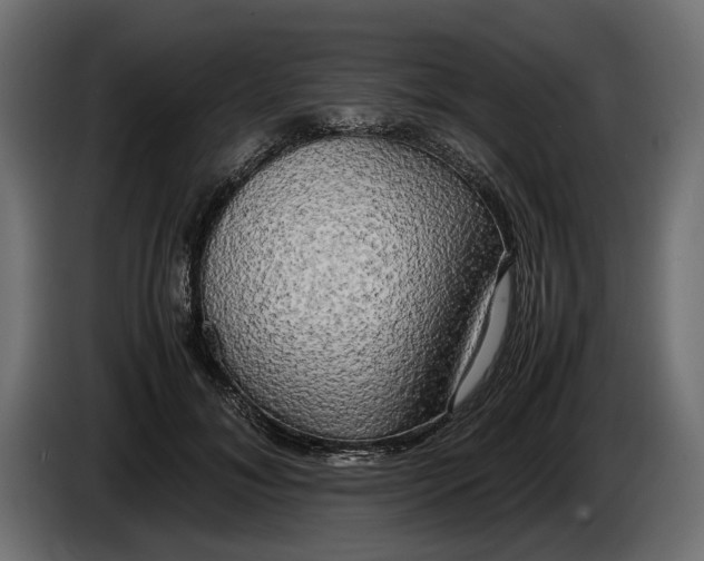 X0000086010700200704131828