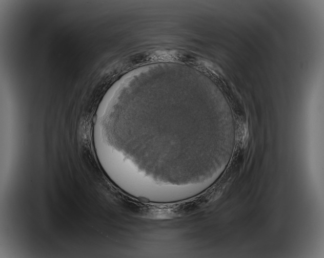 X0000086010701200704131828