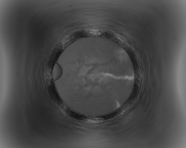 X0000086010707200704131828