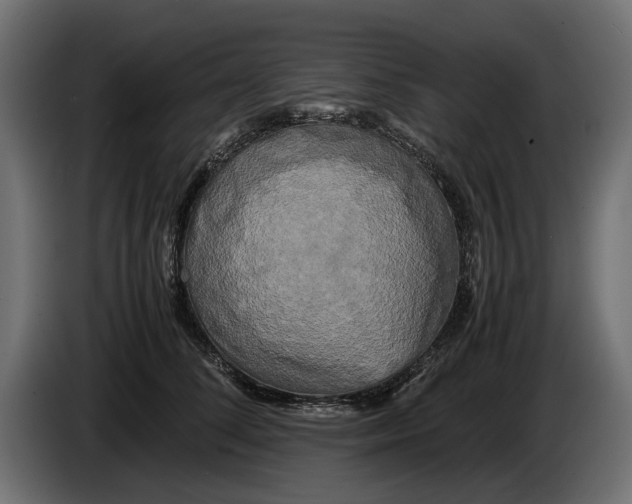 X0000086010708200704131828