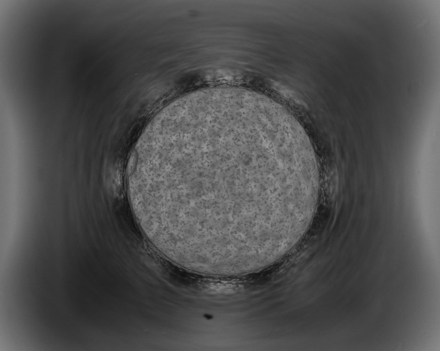 X0000086010709200704131828