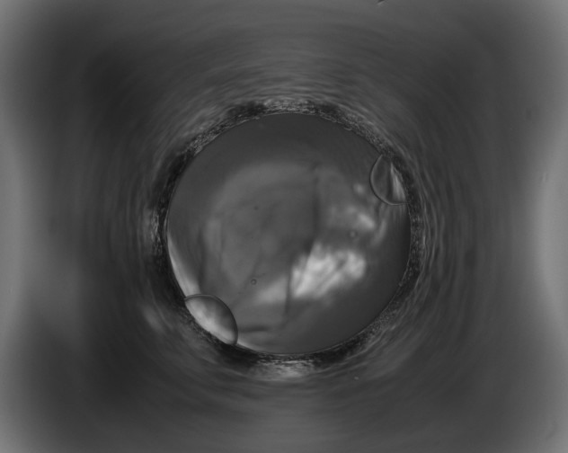 X0000086010711200704131828