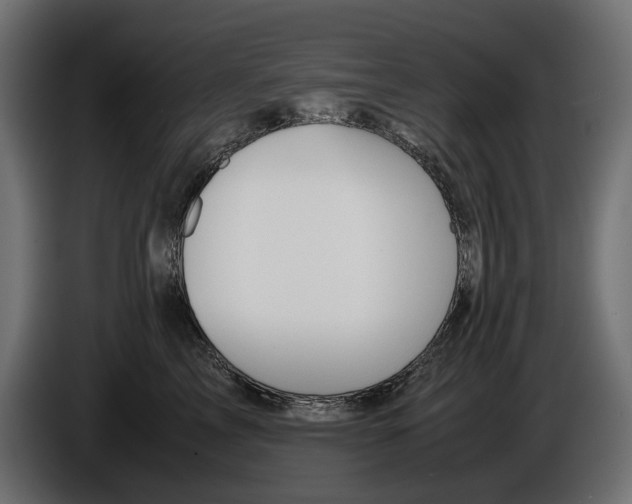 X0000086010713200704131828