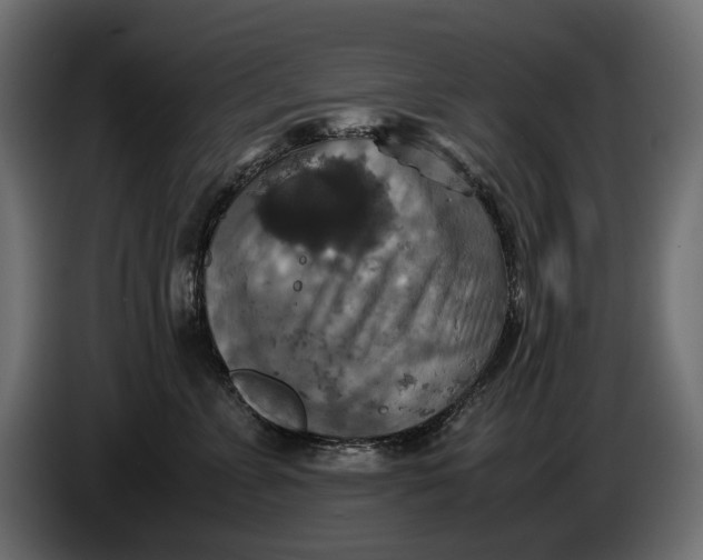 X0000086010715200704131828