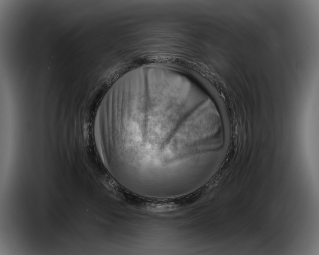 X0000086010716200704131828