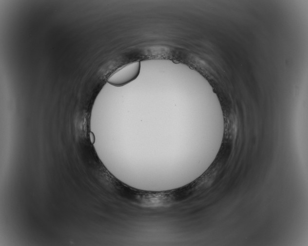 X0000086010717200704131828
