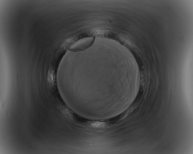 X0000086010718200704131828
