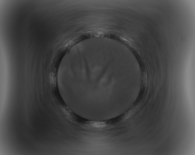 X0000086010719200704131828