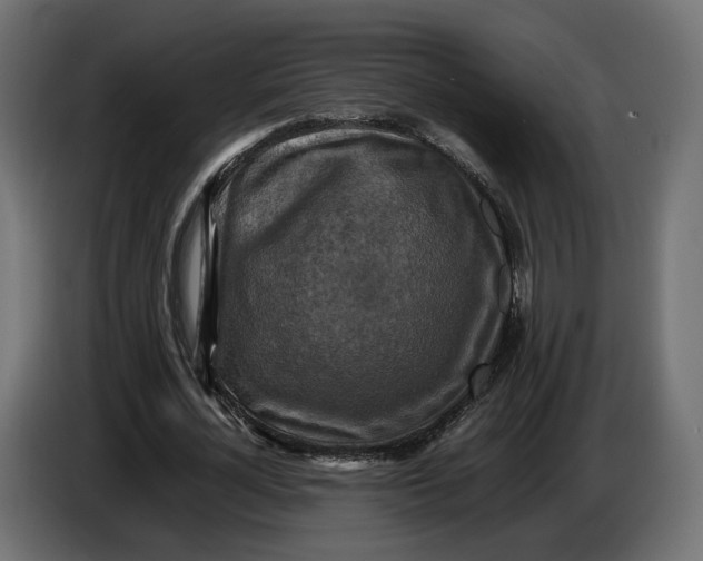 X0000086010724200704131827