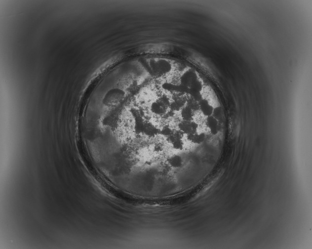 X0000086010725200704131827