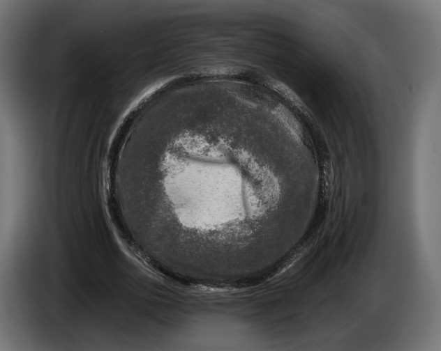 X0000086010726200704131827