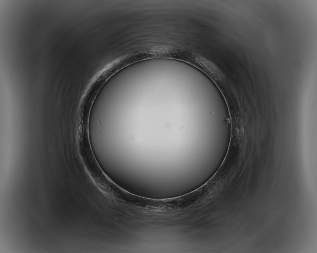 X0000086010728200704131827