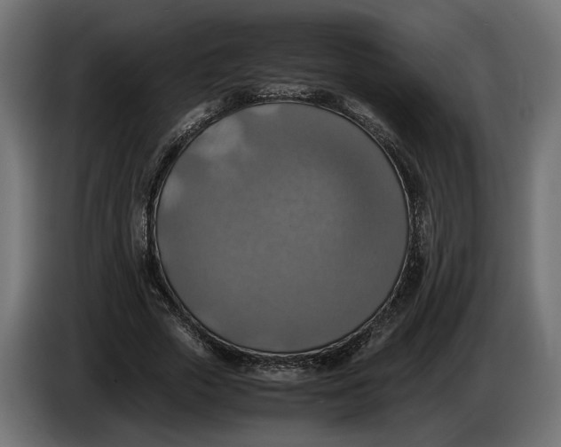 X0000086010729200704131827