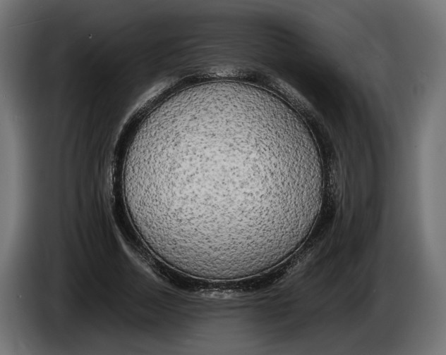 X0000086010730200704131827