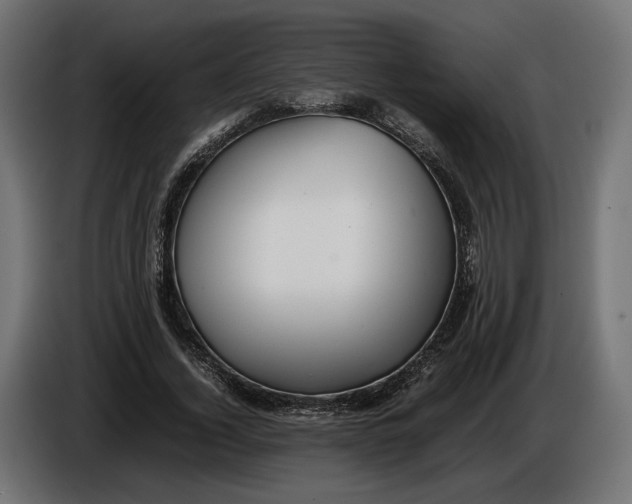 X0000086010732200704131827