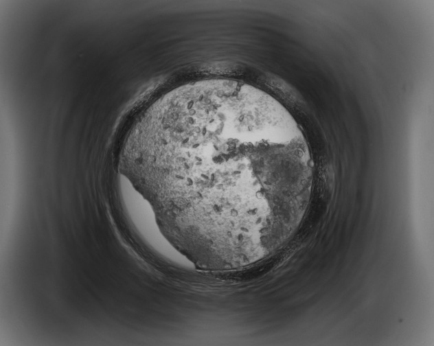 X0000086010734200704131827