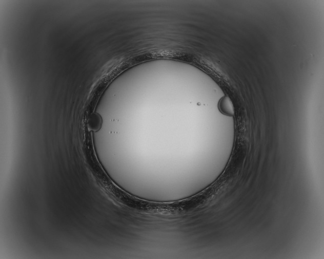 X0000086010738200704131827