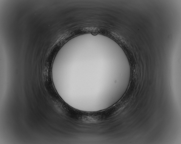 X0000086010739200704131827