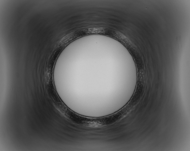 X0000086010741200704131827