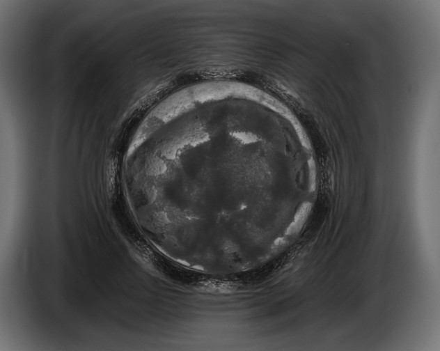 X0000086010742200704131827
