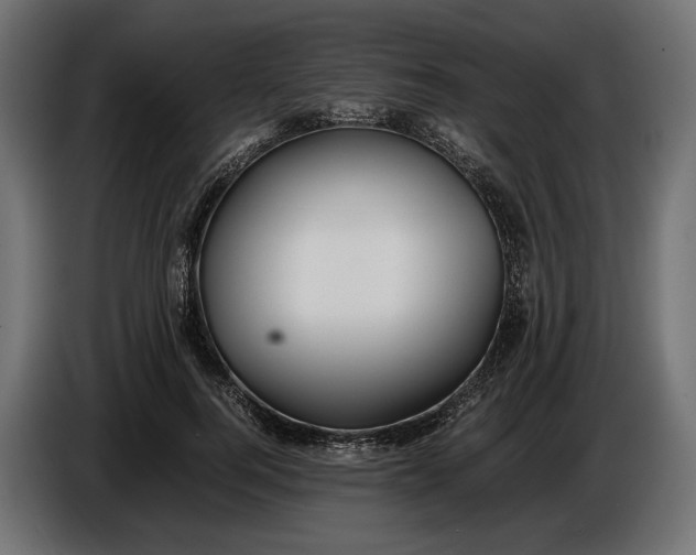 X0000086010744200704131827