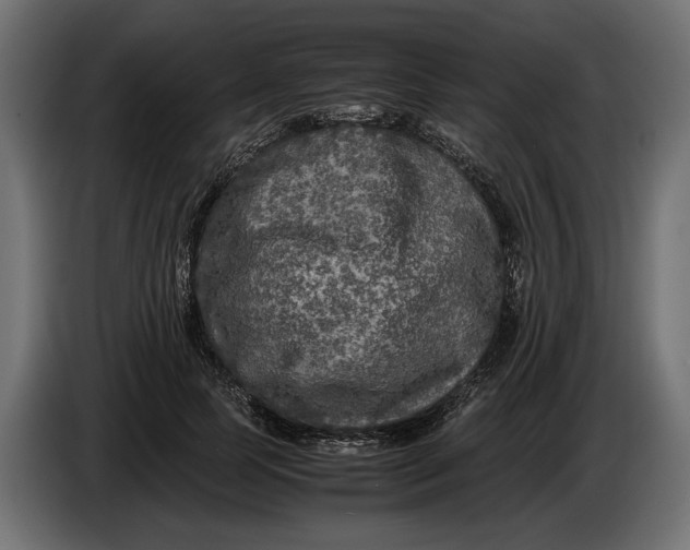 X0000086010745200704131827
