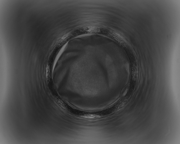 X0000086010748200704131827