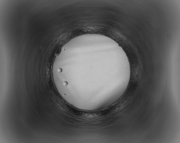 X0000086010749200704131827