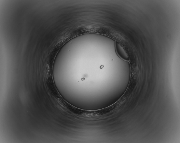 X0000086010752200704131827