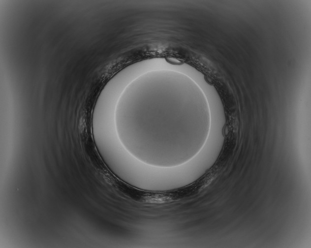 X0000086010754200704131827