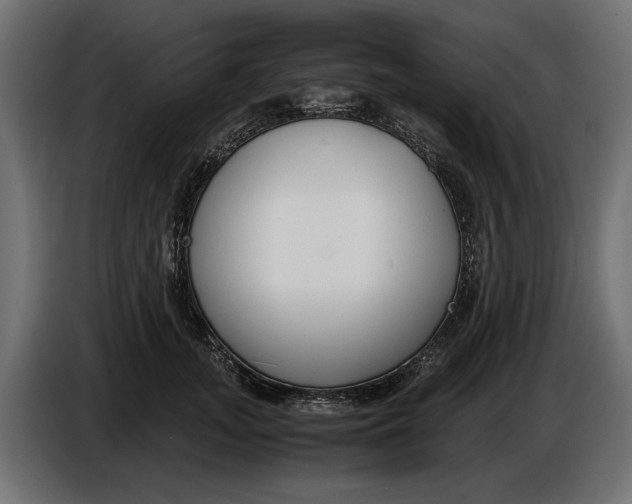 X0000086010755200704131827