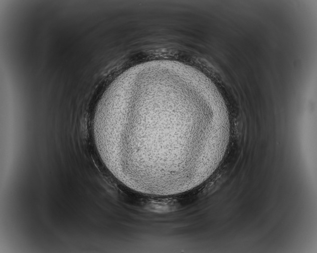 X0000086010757200704131827
